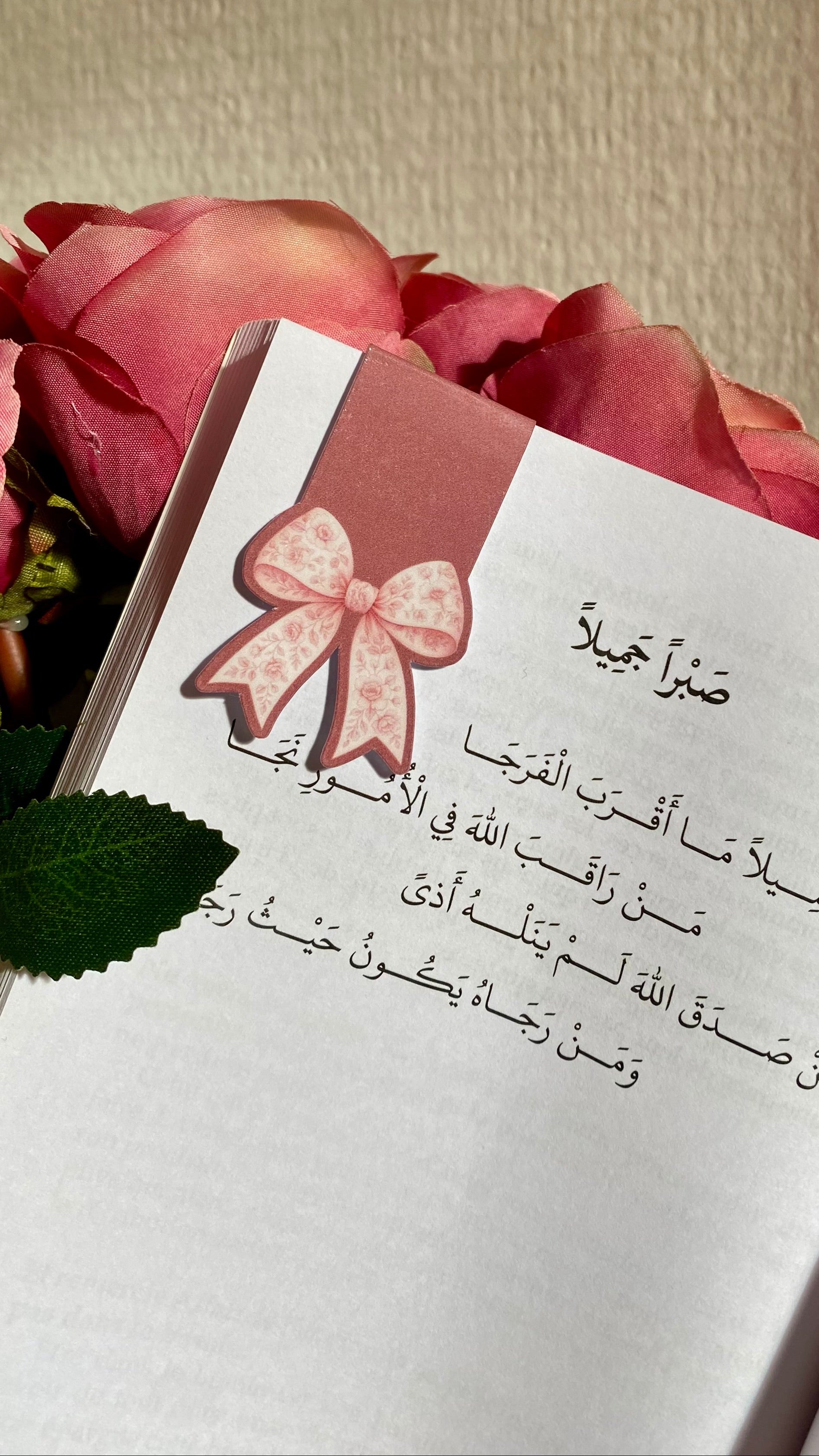 Lot de marque-pages magnétiques