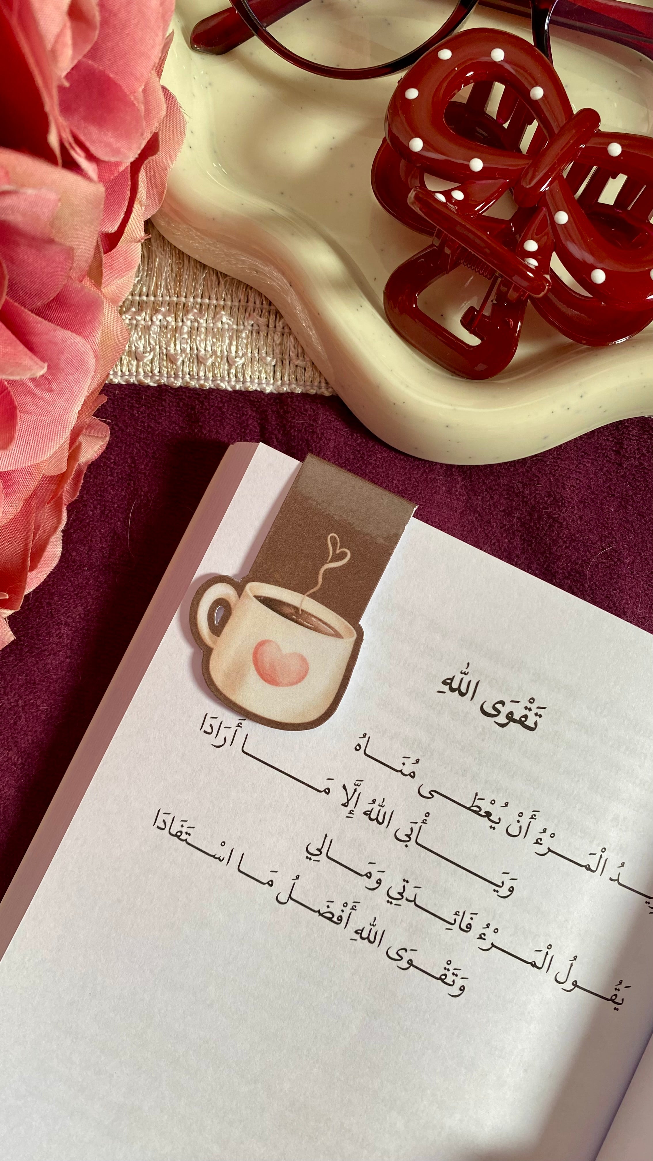 Lot de marque-pages magnétiques