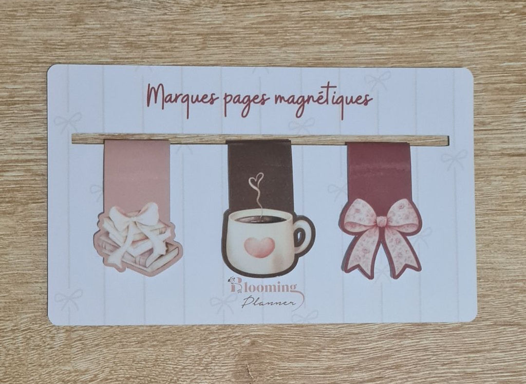 Lot de marque-pages magnétiques