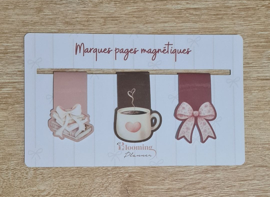 Lot de marque-pages magnétiques